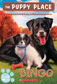 Cover image for Bingo (the Puppy Place #65)