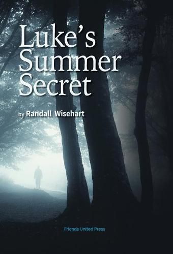 Cover image for Luke's Summer Secret