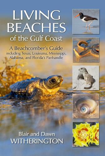 Living Beaches of the Gulf Coast: A Beachcombers Guide including Texas, Louisiana, Mississippi, Alabama and Florida's Panhandle