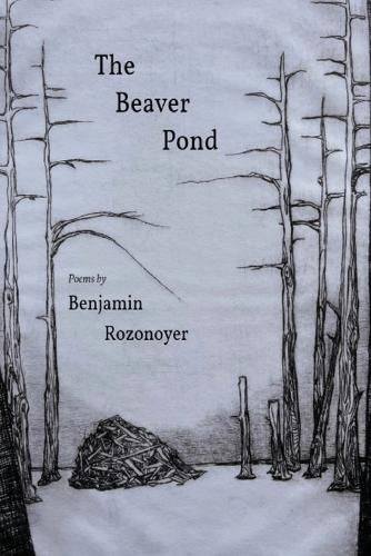 Cover image for The Beaver Pond