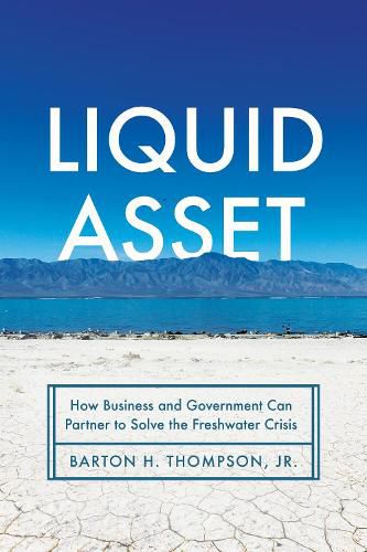 Cover image for Liquid Asset