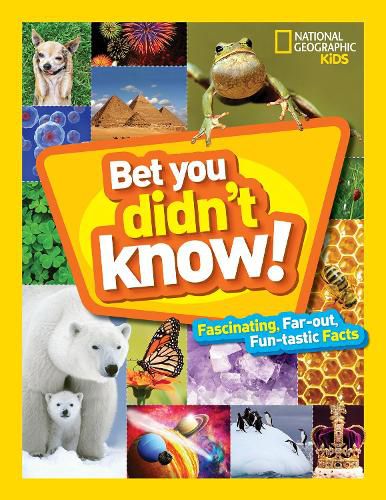 Cover image for Bet You Didn't Know!