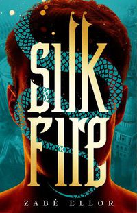 Cover image for Silk Fire