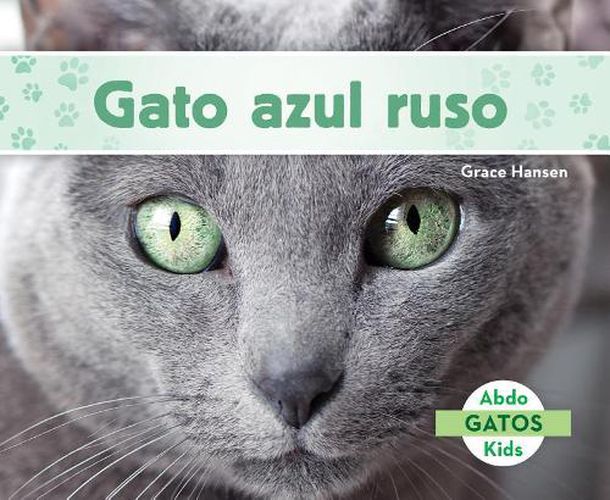 Cover image for Gato Azul Ruso/ Russian Blue Cats
