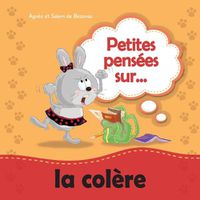 Cover image for Petites pensees sur la colere: Apprendre a gerer la colere