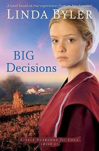 Cover image for Big Decisions: A Novel Based On True Experiences From An Amish Writer!