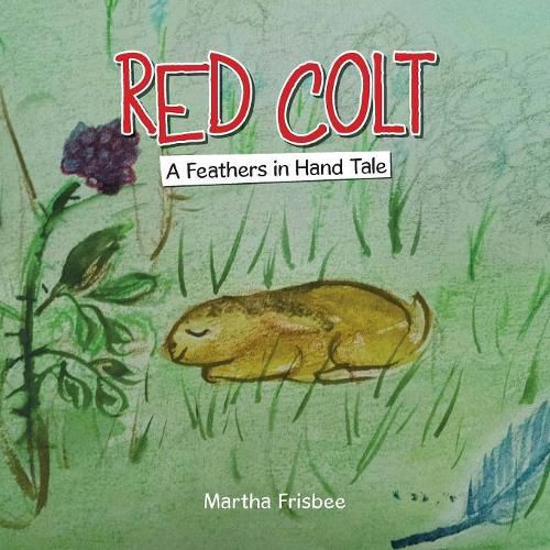 Cover image for Red Colt