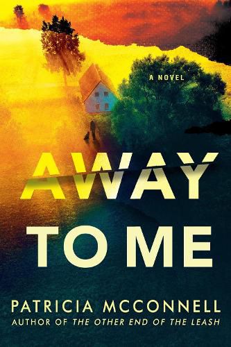 Cover image for Away to Me