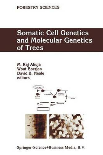 Cover image for Somatic Cell Genetics and Molecular Genetics of Trees