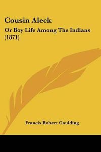 Cover image for Cousin Aleck: Or Boy Life Among the Indians (1871)