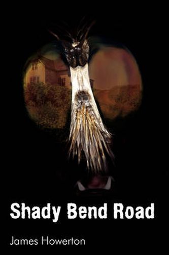 Cover image for Shady Bend Road