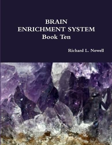 Cover image for Brain Enrichment System Book Ten