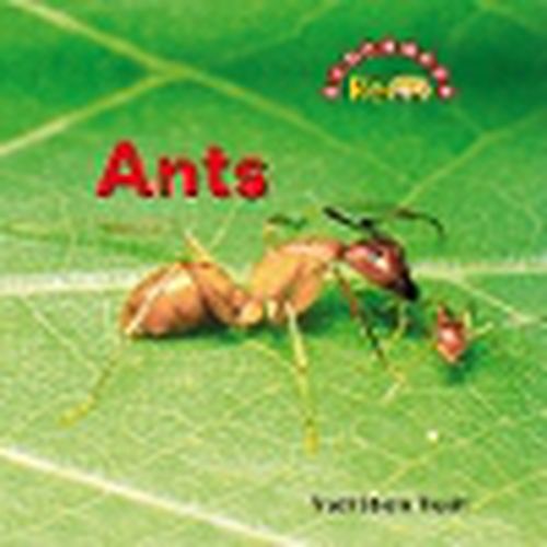 Cover image for Ants