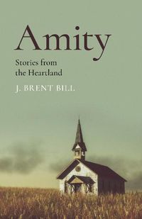 Cover image for Amity