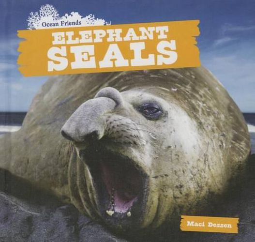 Cover image for Elephant Seals