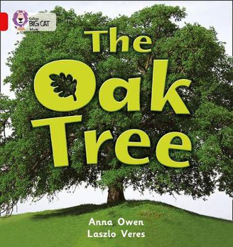 Cover image for The Oak Tree: Band 02b/Red B