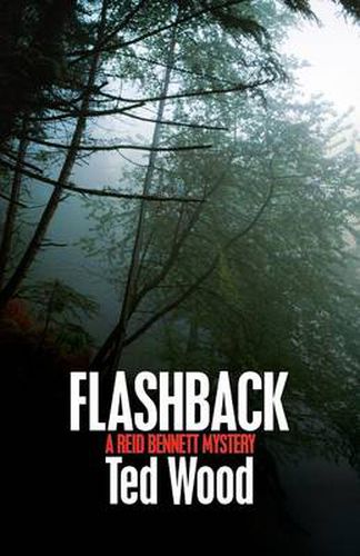 Cover image for Flashback