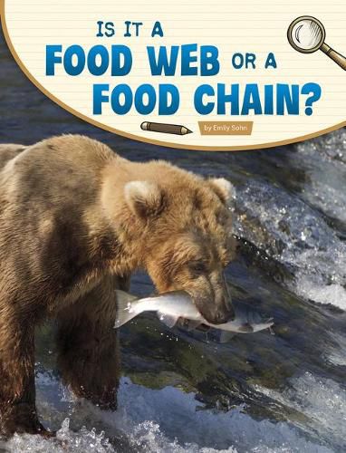 Cover image for Is It a Food Web or a Food Chain?