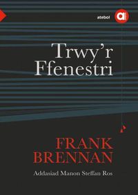 Cover image for Cyfres Amdani: Trwy'r Ffenestri