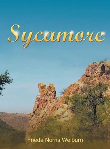 Cover image for Sycamore