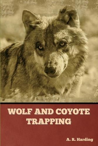 Cover image for Wolf and Coyote Trapping