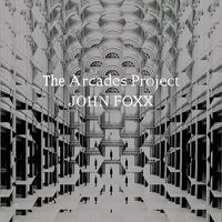 Cover image for The Arcades Project 