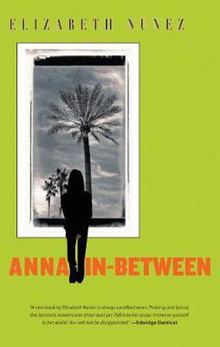 Cover image for Anna In-between