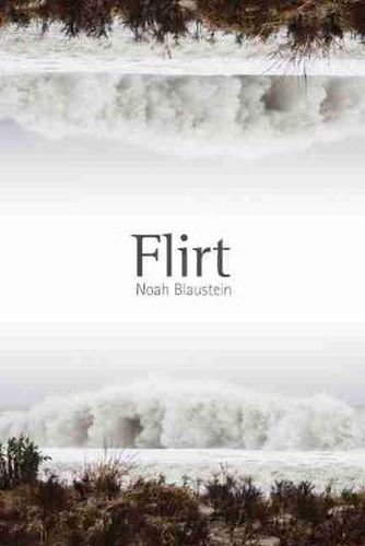 Cover image for Flirt