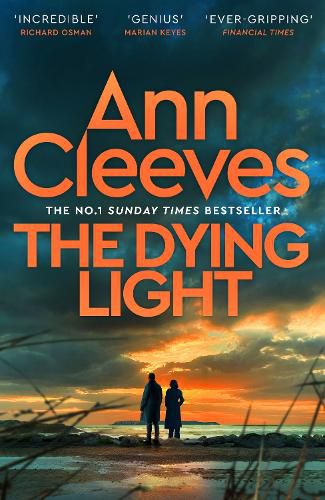 Cover image for The Dying Light (Two Rivers, Book 4)
