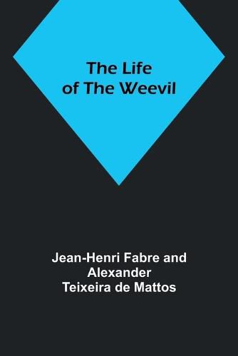 The Life of the Weevil