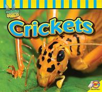 Cover image for Crickets