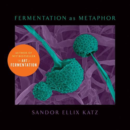 Fermentation as Metaphor: From the Author of the Bestselling  The Art of Fermentation