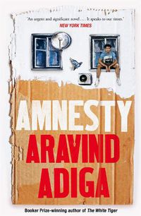 Cover image for Amnesty