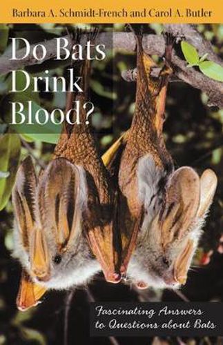 Cover image for Do Bats Drink Blood?: Fascinating Answers to Questions About Bats