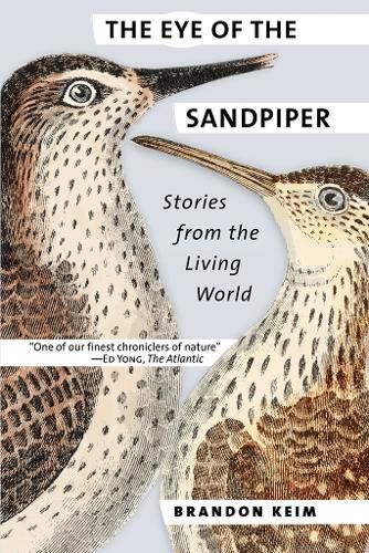 Cover image for The Eye of the Sandpiper: Stories from the Living World