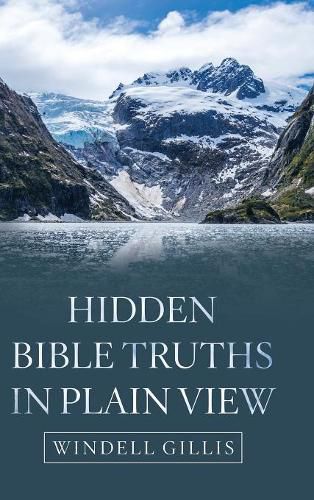 Cover image for Hidden Bible Truths in Plain View