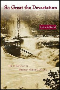 Cover image for So Great the Devastation: The 1916 Flood in Western North Carolina