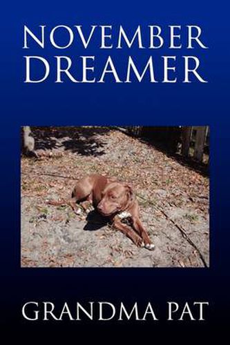 Cover image for November Dreamer