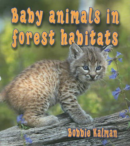 Cover image for Baby Animals in Forest Habitats