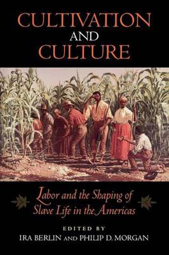 Cover image for Cultivation and Culture: Labor and the Shaping of Slave Life in the Americas