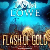 Cover image for Flash of Gold