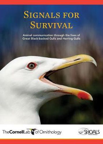 Cover image for Signals for Survival