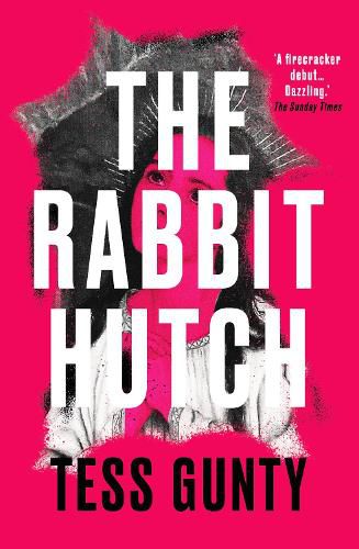 Cover image for The Rabbit Hutch