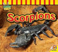 Cover image for Scorpions