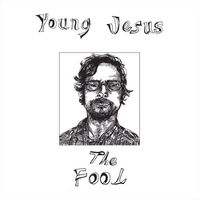 Cover image for The Fool