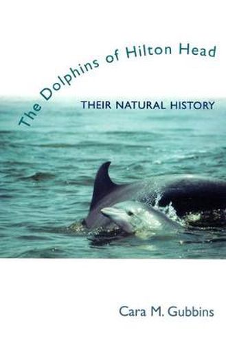 Cover image for The Dolphins of Hilton Head: Their Natural History