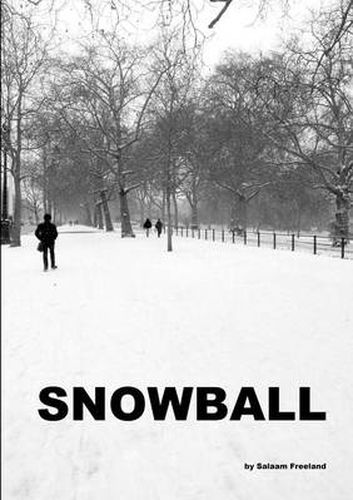 Cover image for Snowball