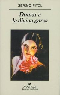 Cover image for Domar a la Divina Garza