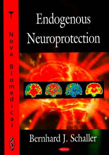 Cover image for Endogenous Neuroprotection