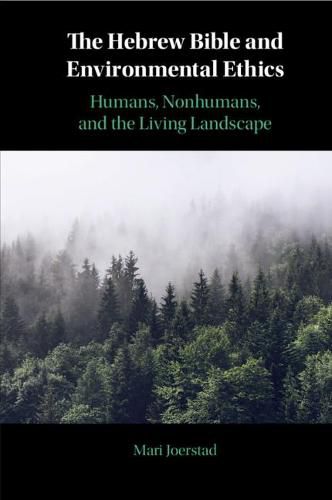 Cover image for The Hebrew Bible and Environmental Ethics: Humans, NonHumans, and the Living Landscape